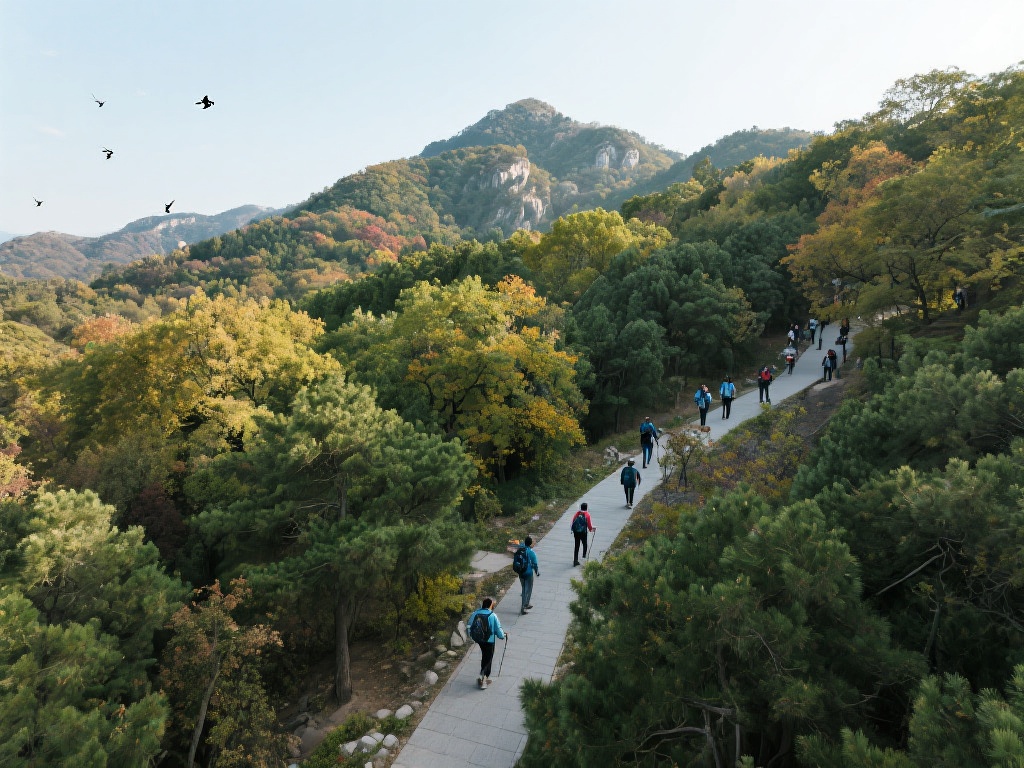 对于喜欢安静和沉浸式体验的朋友，郊外的森林公园是一